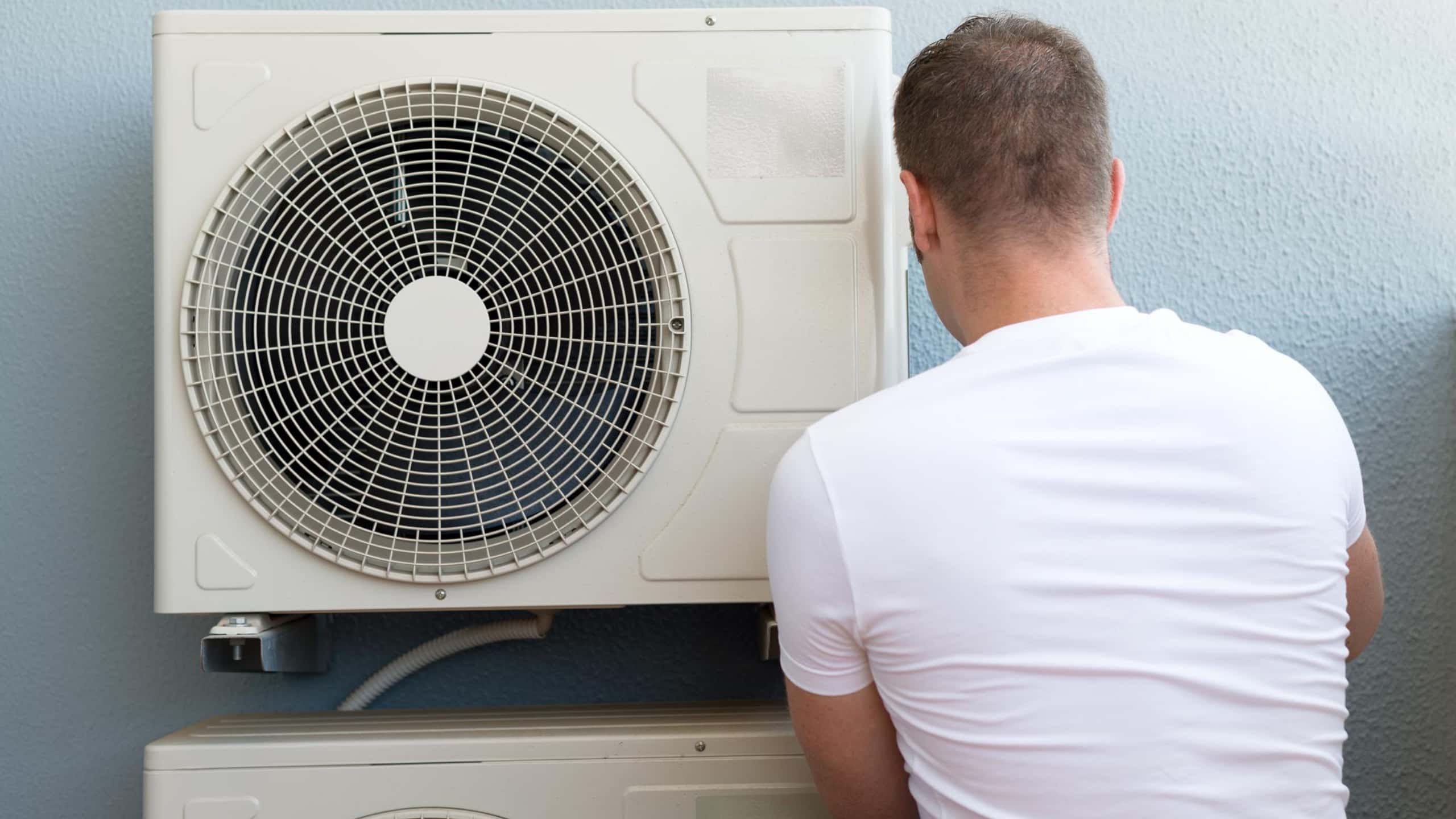 How to Rest Easy Knowing Your Home is Protected from Pests: Call an Exterminator Today