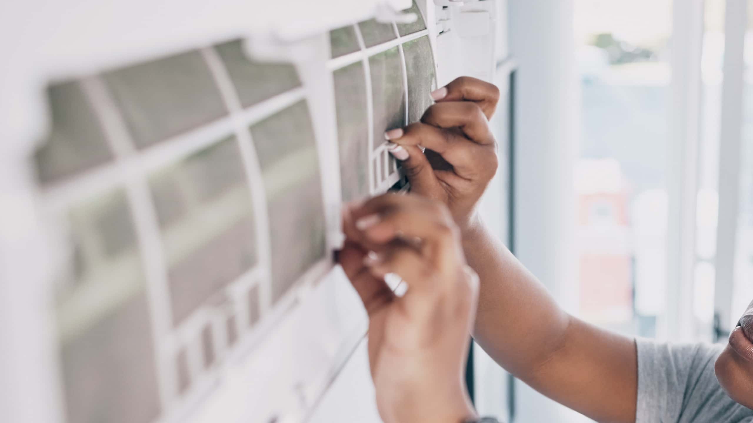 The Cost of Professional Extermination Services