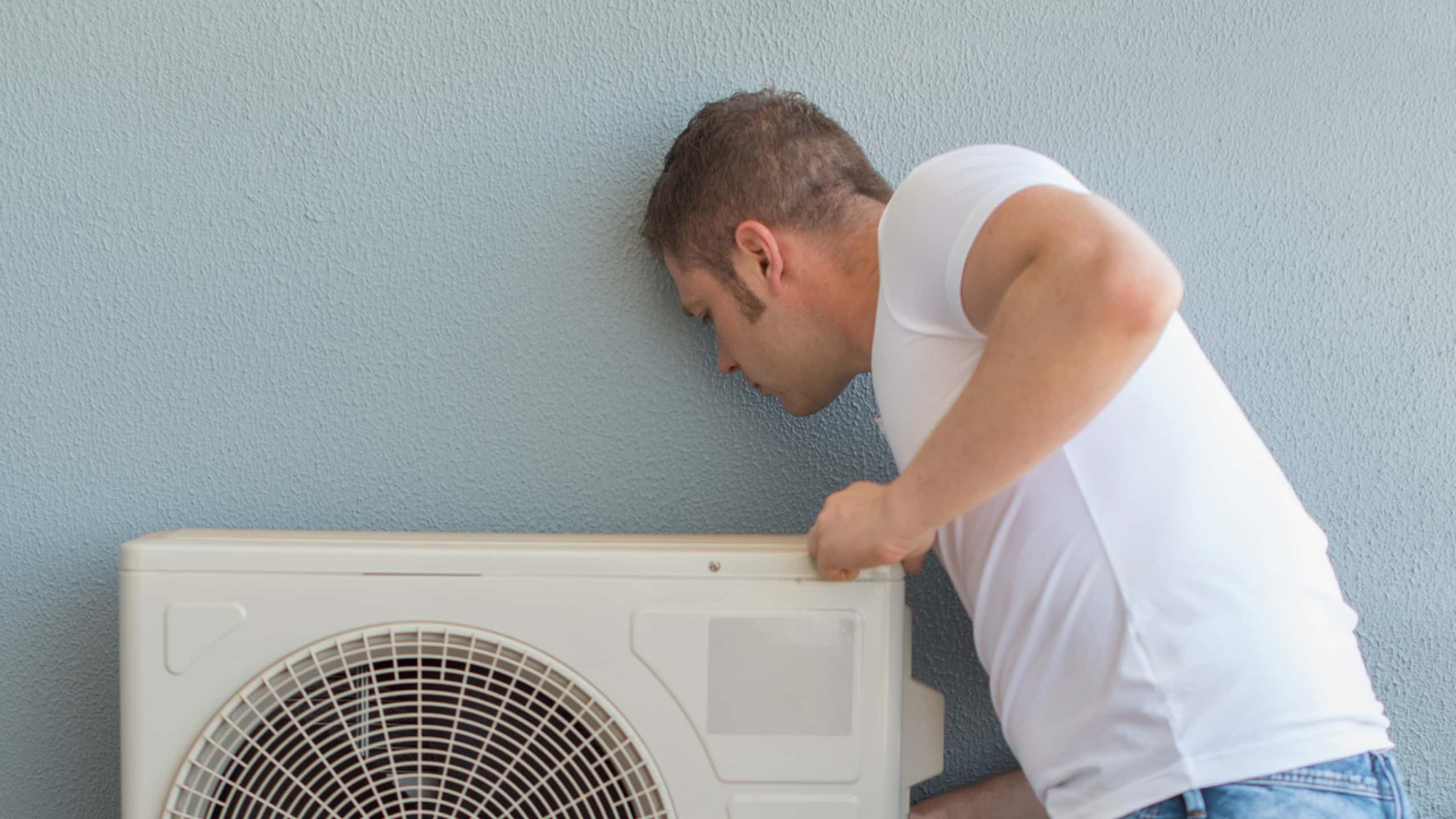 What is the Secret to Pest-Free Living