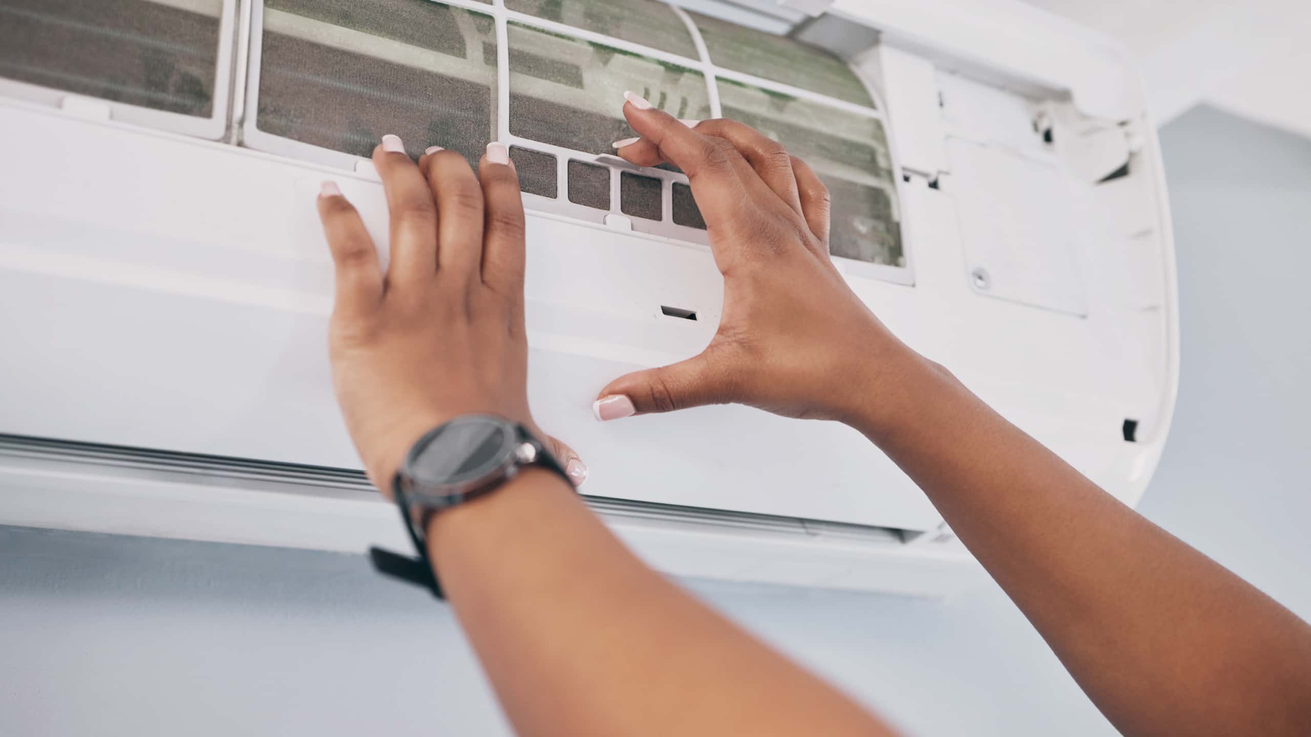 Common Pest Control Techniques Used by Exterminators