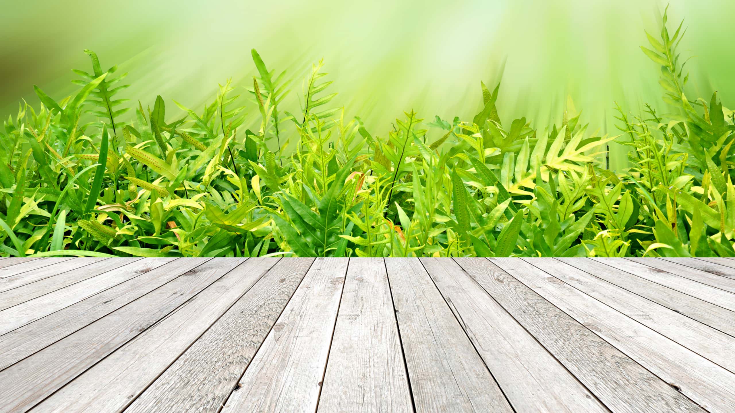 How to Easily Enhance the Look of Your Deck with Staining