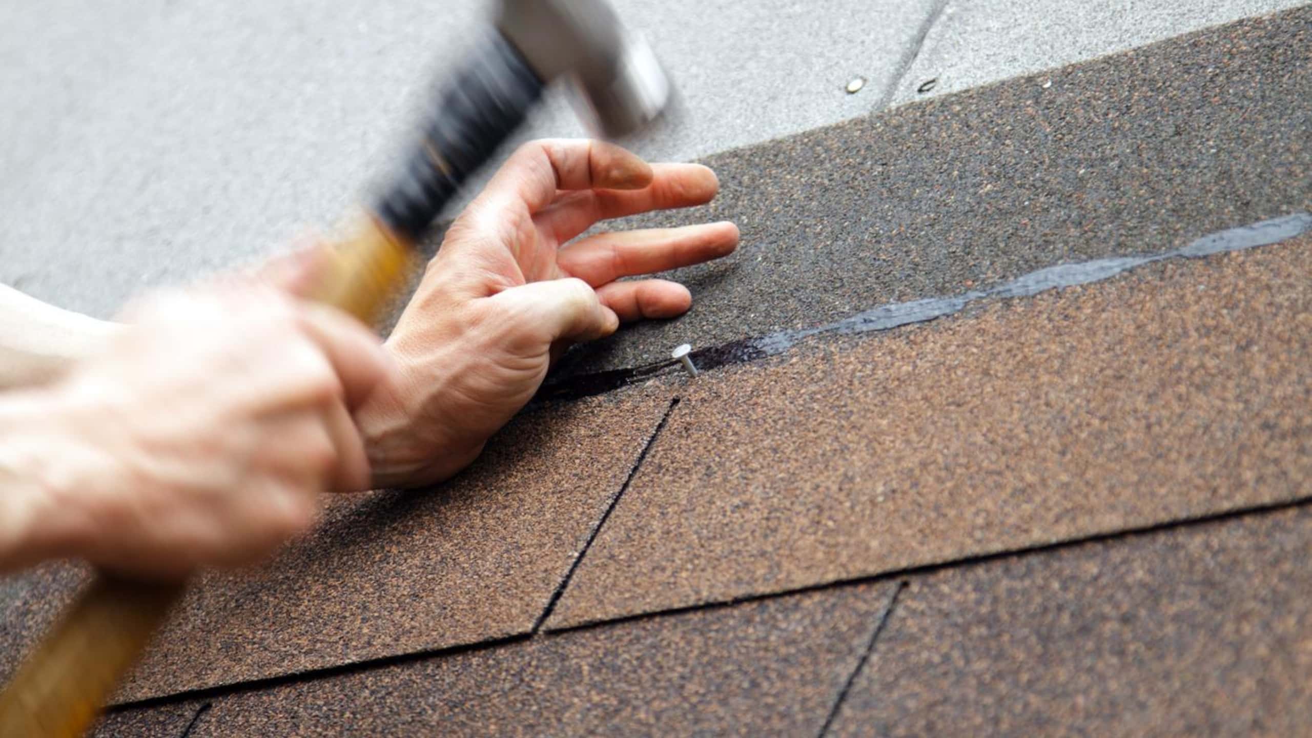 roof replacement